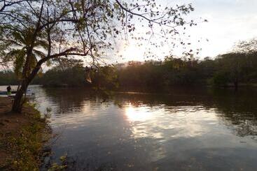 酒店 Hostería Florida Tropical