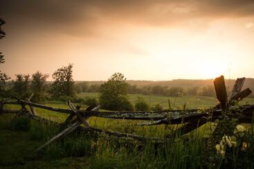 Laura S Bed & Breakfast
