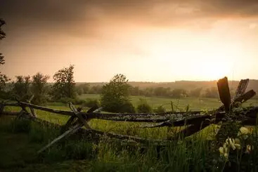 Laura S Bed & Breakfast