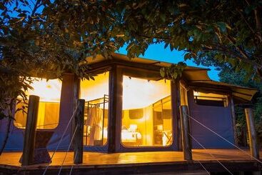 Mara Treetops Luxury Camp