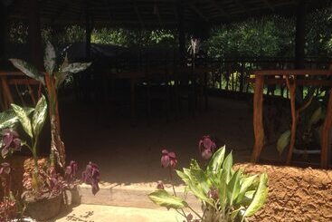 Pensió Home Feel Home Stay