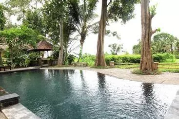 Huis Umasari Rice Terrace Villa