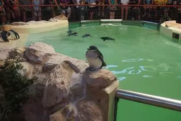 بنسيون Anchorage Guest House And Selfcontained Accommodation