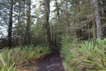 Casa Templenoe Cottages