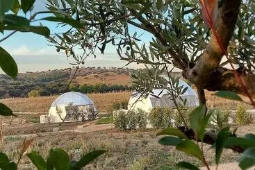 Landelijk hotel Glamping Skies Adults Only