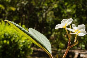 هتل The Resort At Marble Hill