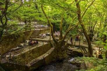 ベッドアンドブレックファースト Eva Lavanda Kazdağları