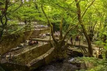 ベッドアンドブレックファースト Eva Lavanda Kazdağları