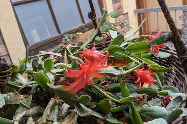 Ettalong Beach Tourist Resort