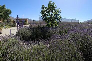 تختخواب و صبحانه Lavanda Del Valle