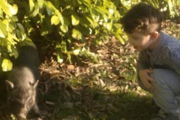 Agriturismo Corte Del Gallo