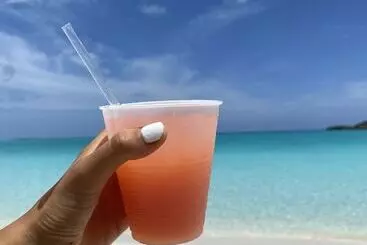 Apartaments turístics Tropical View Villa