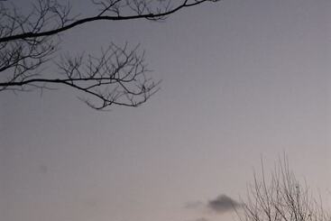 Pensione Motif No.1 Guest House