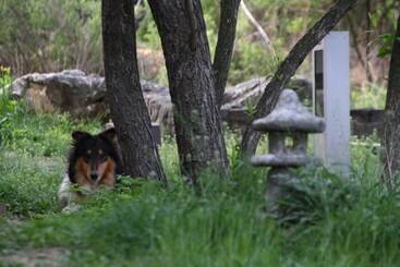 Pensão Motif No.1 Guest House