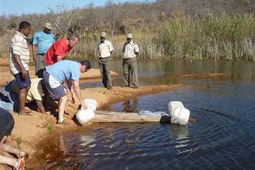 ホテル Witwater Safari Lodge & Spa