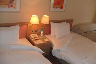 Hotel Lake Alster Alza Izumiotsu