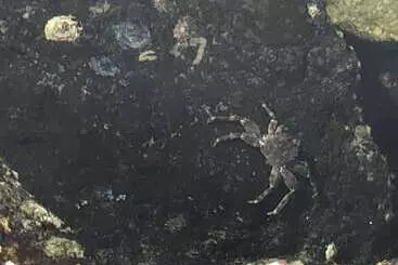 Eden Golf View Motel