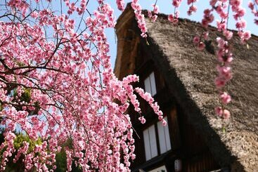 בית מלון כפרי Ooedo Onsen Monogatari Gero Bekkan