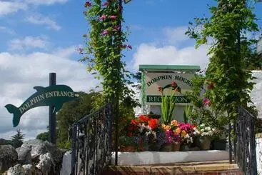 膳宿费 Dolphin Guest House