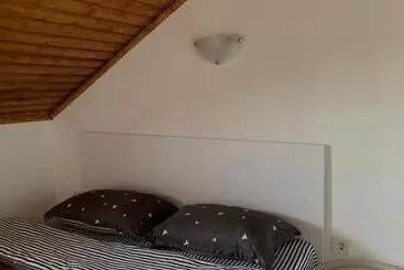 Pensionat Casa Dumitru