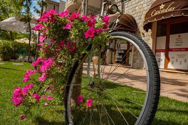 Menada Apartments In Cascadas