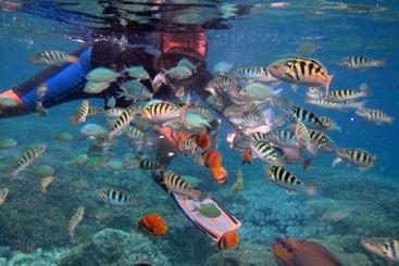 호텔 Tamarind Beach Bungalow