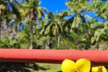 Pension Rose Apartments