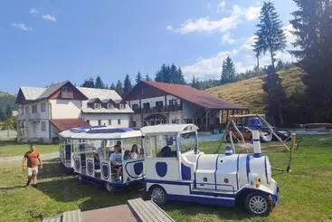 Pensiunea Trei Brazi Arieseni