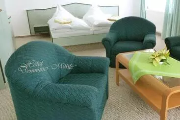 Hotelli Demminer Mühle