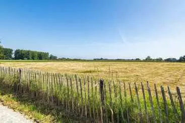 Hotelli Burgemeestershof