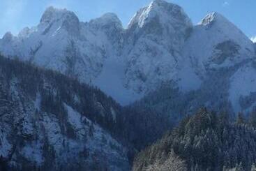 Pensão Der Gamsjäger