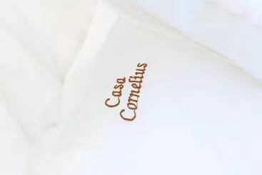 ペンション Casa Cornelius