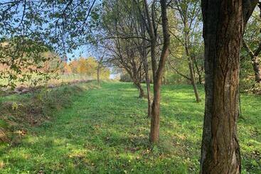 Pensão Conacul Maramureșean Bilgăr