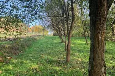 ペンション Conacul Maramureșean Bilgăr