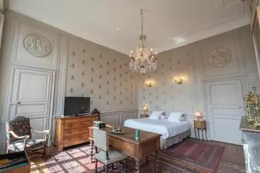 L Hotel De Panette, Un Exceptionnel Château En Ville Cathédrale
