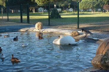 בית מלון כפרי Camping Le Sainte Marie