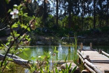 Pension Addo African Home