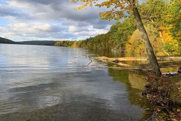 קוטג'' Springwater Cabin Near Hiking, Lakes, & Vineyards