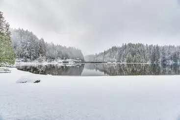 Mökkimajoitus Awesome Hoodsport Cabin   Nearby Hiking Areas