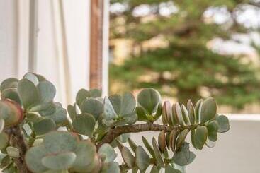 Bed and Breakfast Airlies Guest House