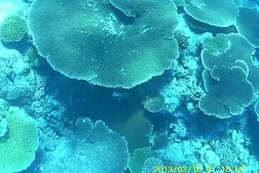 Bahari Lodge, K.kaashidhoo