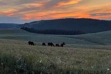 Hotelli Bear Lodge Resort