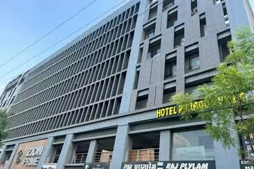 Hotel Paragon Villa