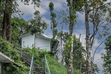 リゾートホテル Wild Poetry Munnar