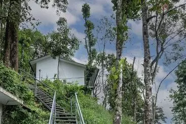 Resort Wild Poetry Munnar