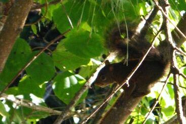 ホテル Porto Pousada Saco Da Capela