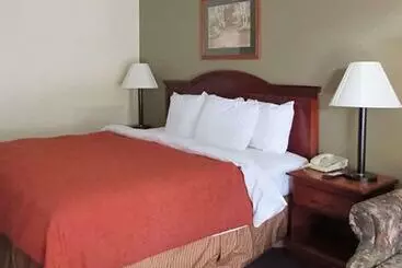ホテル Rodeway Inn Walterboro I 95