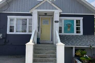 Szálló Laughing Llama