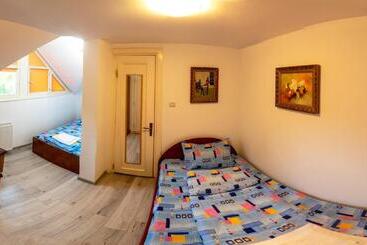 Camera 4 Pensiunea Panorama