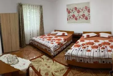 Pensjonat Casa Dasoveanu